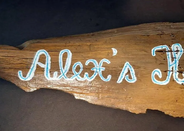 Alex's House